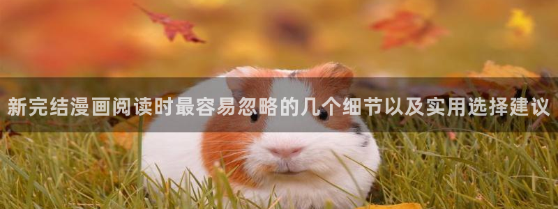 漫画免费看热门漫画大全