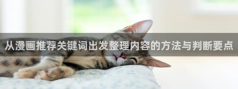 漫画免费看漫画排行榜