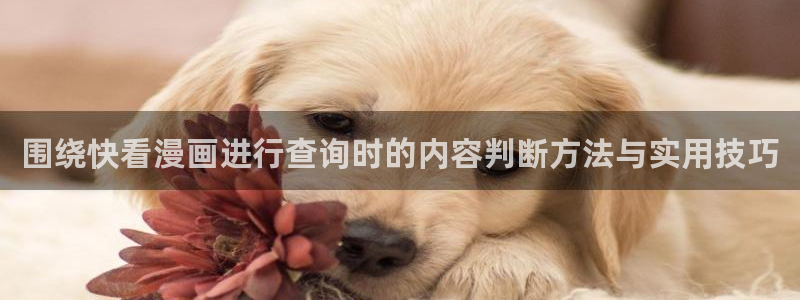 漫画免费看热门榜单
